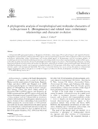 And Related Taxa: Evolutionary Relationships and Character Evolution