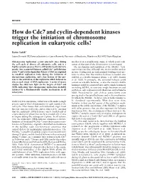 How Do Cdc7 and Cyclin-Dependent Kinases Trigger the Initiation of Chromosome Replication in Eukaryotic Cells?