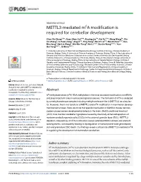 METTL3-Mediated M6a Modification Is Required for Cerebellar Development