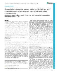 Roles of Wnt Pathway Genes Wls, Wnt9a, Wnt5b, Frzb and Gpc4 in Regulating Convergent-Extension During Zebrafish Palate Morphogenesis Lucie Rochard1, Stefanie D