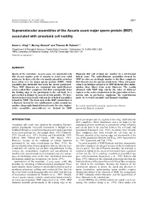 Supramolecular Assemblies of the Ascaris Suum Major Sperm Protein (MSP) Associated with Amoeboid Cell Motility