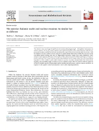 The Anterior Thalamic Nuclei and Nucleus Reuniens: So Similar but So Different