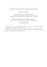 Calculus of Variations in Image Processing