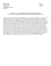 CCCS 207 Undergraduate Student Judge: Yes