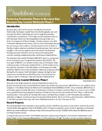 Biscayne Bay Coastal Wetlands Phase 1 Introduction Biscayne Bay Is Part of the Greater Everglades Ecosystem