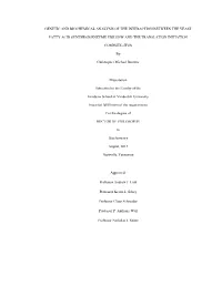 Genetic and Biochemical Analysis of the Interaction Between the Yeast