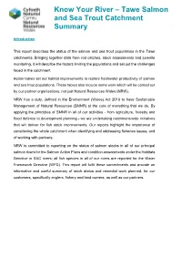 Know Your River – Tawe Salmon and Sea Trout Catchment Summary