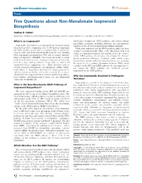 Five Questions About Non-Mevalonate Isoprenoid Biosynthesis