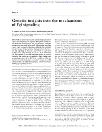 Genetic Insights Into the Mechanisms of Fgf Signaling