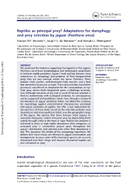 Reptiles As Principal Prey? Adaptations for Durophagy and Prey Selection by Jaguar (Panthera Onca) Everton B.P