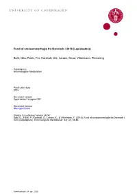 University of Copenhagen