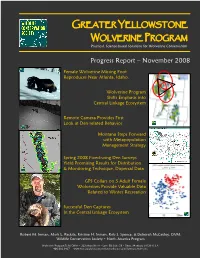 GREATER YELLOWSTONE WOLVERINE PROGRAM Progress Report – November 2008