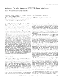 Voluntary Exercise Induces a BDNF-Mediated Mechanism That Promotes Neuroplasticity