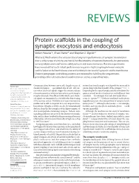 Protein Scaffolds in the Coupling of Synaptic Exocytosis and Endocytosis