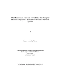 The Mechanistic Function of the NOD-Like Receptor NLRX1 in Apoptosis and Cell Death in the Nervous System