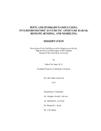 Wetland Hydrodynamics Using Interferometric Synthetic Aperture Radar, Remote Sensing, and Modeling