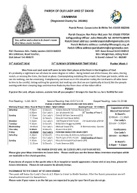 21St Sunday of Ordinary Time 2016 Newsletter