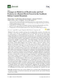 Changes in Multi-Level Biodiversity and Soil Features in a Burned Beech Forest in the Southern Italian Coastal Mountain