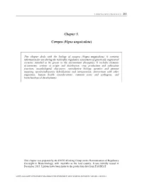 Chapter 5. Cowpea (Vigna Unguiculata)