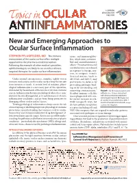 New and Emerging Approaches to Ocular Surface Inflammation