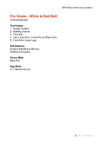 SKF Kickboxing Syllabus