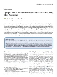 Synaptic Mechanisms of Memory Consolidation During Sleep Slow Oscillations