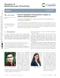 View PDF Version