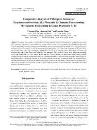 Comparative Analysis of Chloroplast Genome of Dysphania Ambrosioides (L.) Mosyakin & Clemants Understanding Phylogenetic Relationship in Genus Dysphania R