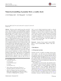 Numerical Modelling of Granular Flows: a Reality Check