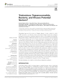 Trypanosomatids, Bacteria, and Viruses Potential Vectors?