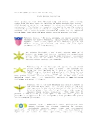 Basic Branches of the United States Army Basic Branch Information After