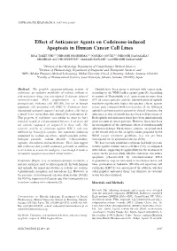 Effect of Anticancer Agents on Codeinone-Induced Apoptosis in Human Cancer Cell Lines