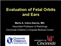 Evaluation of Fetal Orbits and Ears