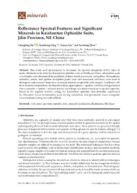 Reflectance Spectral Features and Significant Minerals in Kaishantun