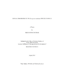 The Development and Improvement of Instructions