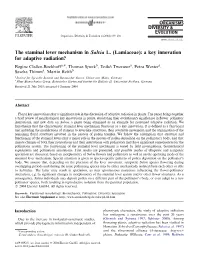 (Lamiaceae): a Key Innovation for Adaptive Radiation?