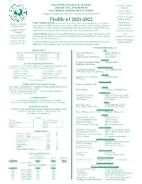 Profile of 2020-2021