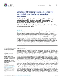 Single-Cell Transcriptomic Evidence for Dense Intracortical Neuropeptide