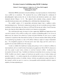Precision Geometry Scaffolding Using MEMS Technology
