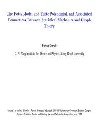 The Potts Model and Tutte Polynomial, and Associated Connections Between Statistical Mechanics and Graph Theory