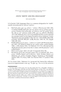 AND HIS COLLEAGUES1 1. in Insular Celtic Languages There Is A