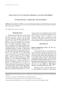 INTRODUCTION the Genus Begonia (Begoniaceae)