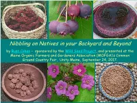 Nibbling on Natives in Your Backyard and Beyond
