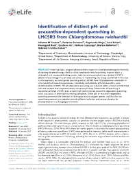 Identification of Distinct Ph- and Zeaxanthin-Dependent Quenching