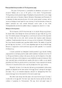 Mass Production Procedure of Trichogramma Spp