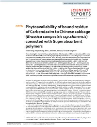 Phytoavailability of Bound Residue of Carbendazim to Chinese