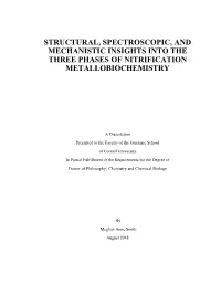 Structural, Spectroscopic, and Mechanistic Insights Into the Three Phases of Nitrification Metallobiochemistry