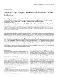 Ɑ6ß1 Andɑ7ß1 Integrins Are Required in Schwann Cells to Sort