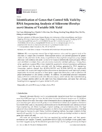 Bombyx Mori) Strains of Variable Silk Yield