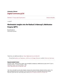 Mechanistic Insights Into the Radical S-Adenosyl L-Methionine Enzyme MFTC